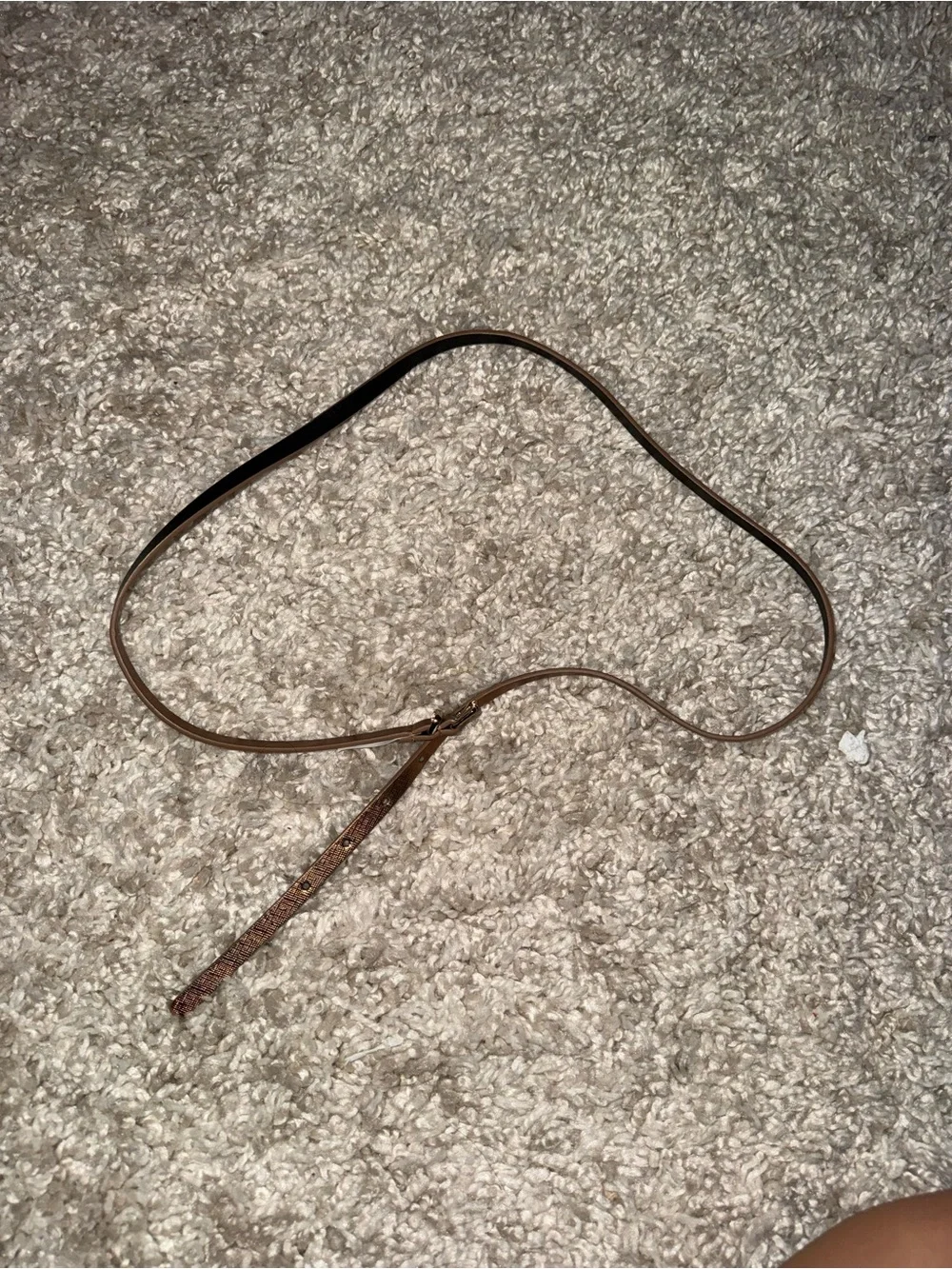 Thin Brown Leather Waist Belt with Embellished Tail